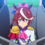 【質問】ダイイチルビーって馬はテイオーとマックのレースにも絡んでくるの？