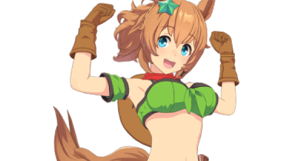 【画像】先行タイキのデッキ、どれがいいのかな？