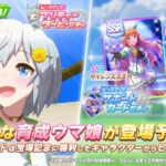 【泣いた】セイウンスカイとニシノフラワーは牧場(馬主)が同じでなｗｗｗ